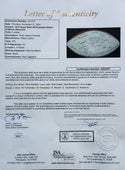1972 Super Bowl VII Champion Miami Dolphins Autographed Wilson Football (JSA)