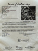 Ted Williams Autographed 11x14 Framed Baseball Photo (JSA)