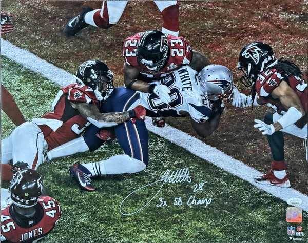 James White Autographed Patriots 16x20 Football Photo (JSA Witness)