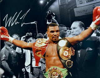 Mike Tyson Autographed w/ Championship Belts 16x20 Photo