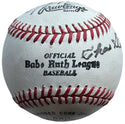 Hall Of Famers & Stars Autographed Official Babe Ruth League Baseball